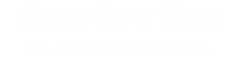 Aaron Gertz Tours